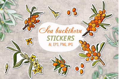 Sea buckthorn&2F; Printable Stickers Cricut Design
