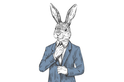 Rabbit in suit. Engraved human bunny, dressed easter hare in fashion t