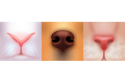 Realistic pet noses. Feline snout closeup&2C; fur cat face or puppy dog c