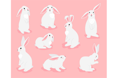 Funny bunny pets pose collection. Chinese new year symbol. White furry