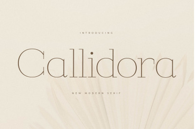 Callidora  New Modern Serif