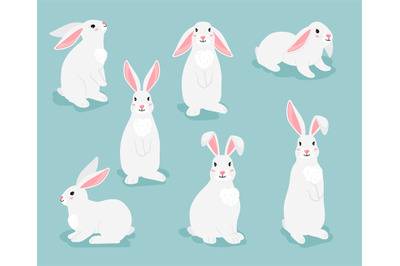 Rabbit characters. White furry hares isolated on white background. Fun