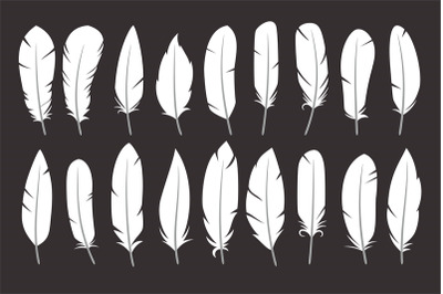 White silhouettes of a bird feather collection. Feathers icon set in f