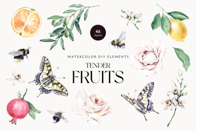 Tender Fruits Watercolor Elements