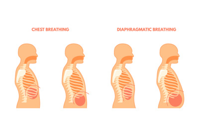 Diaphragmatic breathing. Pulmonary exercises chest and abdominal breat
