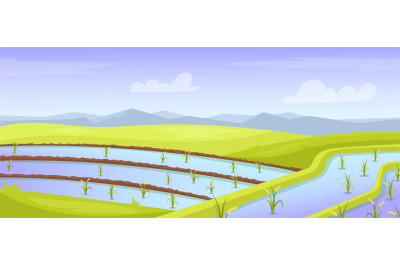 Rice field landscape. Asian farmland watering india fields terrace, th