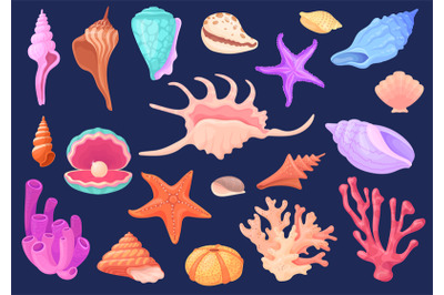 Underwater conches. Cartoon shellfish scallops ocean conch oyster moll