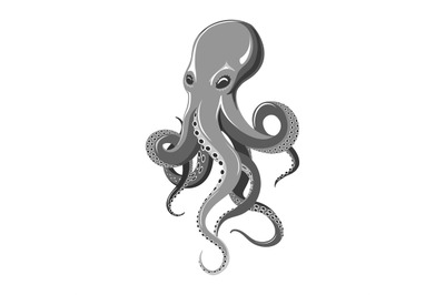 Octopus kraken illustration