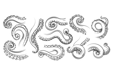 Tentacles monochrome sketch