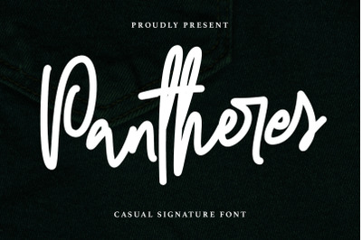 Pantheres Casual Signature Font
