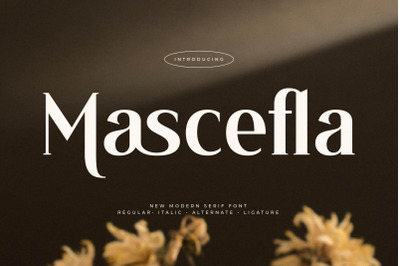 Mascefla - New Modern Serif Font