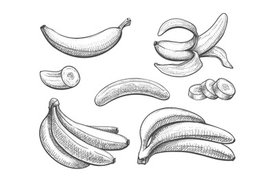 Bananas vintage sketch