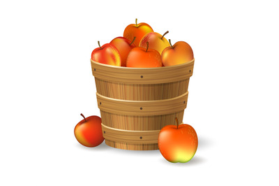 Apples bucket illustration