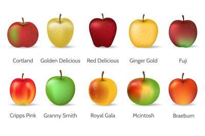 Apple types set