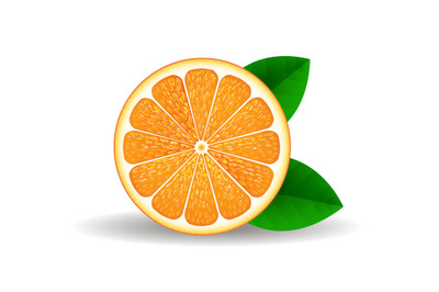 Realistic orange slice