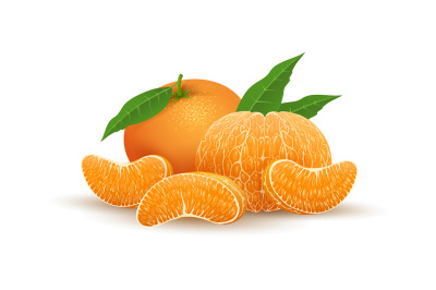 Realistic tangerine fruit