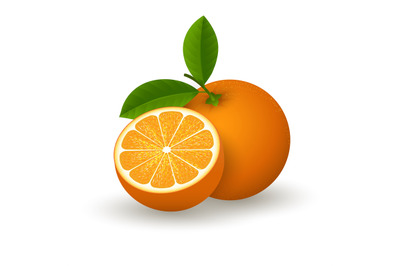 Realistic orange fruit