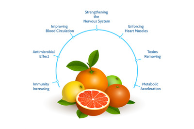 Citrus infographics illustration