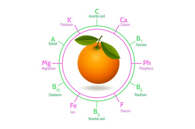 Orange fruit infographic