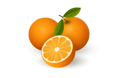 Realistic orange fruits