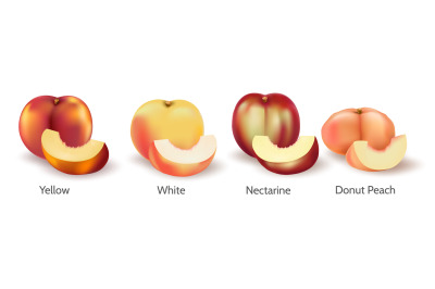 Realistic peaches varietes