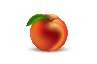 Whole realistic peach