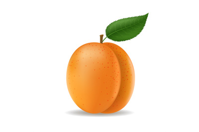 3d apricots fruit with leaf