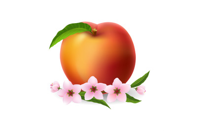 Peaches fruit flowers