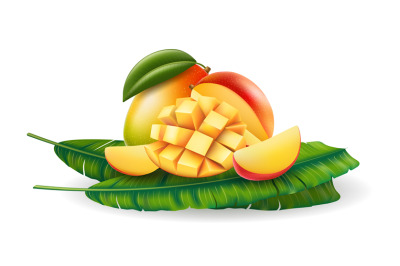 Realistic mango fruits on palm leaves