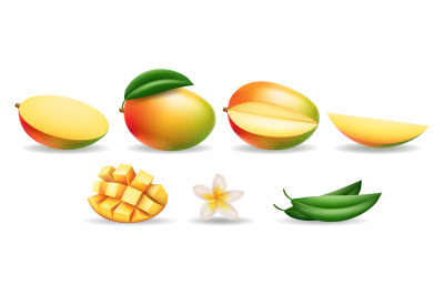 Realistic mango elements