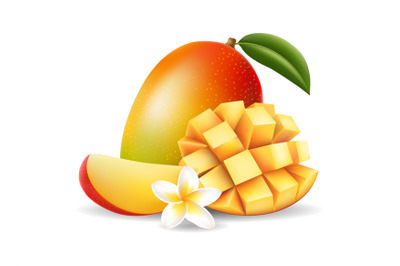 Mango fruit with flower