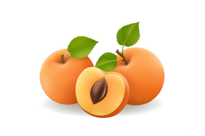 Realistic apricots heap