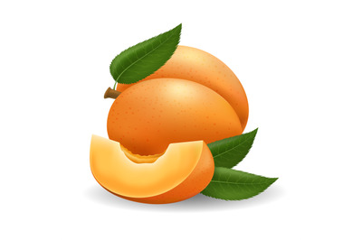 Realistic apricot fruits and slice