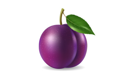 Realistic plum 3d illustration