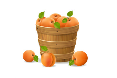 Full apricots basket