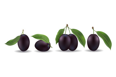 Realistic black sweet plum