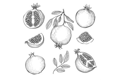 Hand drawn pomegranates