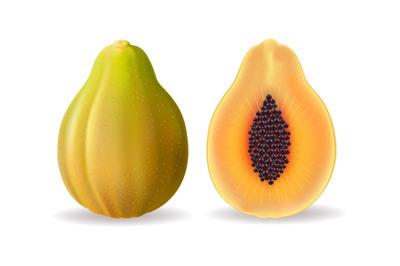 Realistic papaya isolated on white