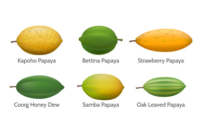 Papaya varieties illustration