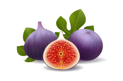 Realistic purple figs