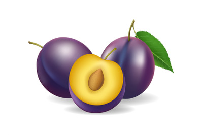 Realistic purple plums