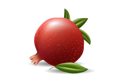 Realistic pomegranate isolated