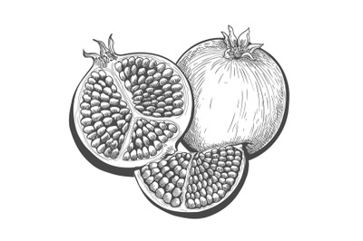 Pomegranate fruit engraving