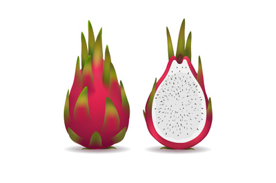Realistic pitaya fruit