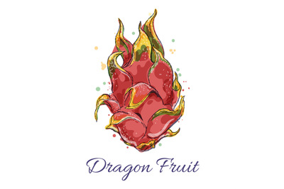 Pitaya watercolor icon