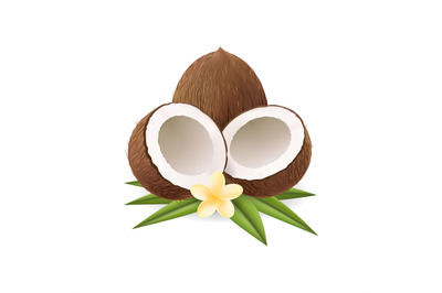 Realistic coconuts with leaves and flower
