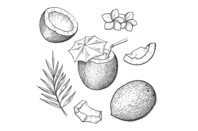 Coconut ingredients engraving