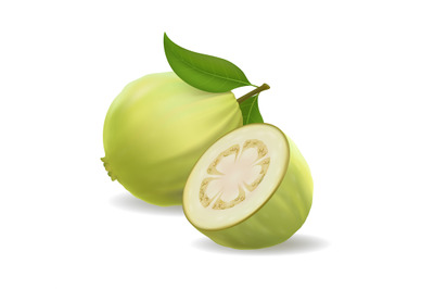 Realistic white guava