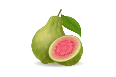 Realistic green guava