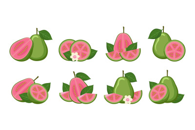 Cartoon guava isolated